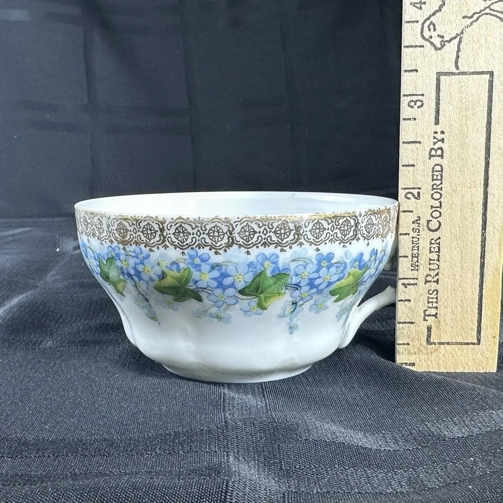 Forget-Me-Not Tea cup Saucer Translucent Fine Porcelain Gold Filigree Ivy ANTQ
